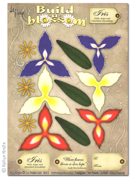 Decoupage A4 Sheet - Build A Blossom, Iris