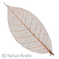 Skeleton Leaf Embellishments - Mid Brown - Click Image to Close