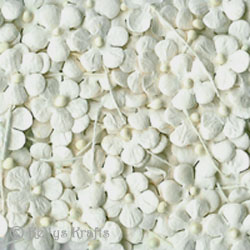 Mulberry Paper Flowers on Stems - White (20 pieces) - Click Image to Close