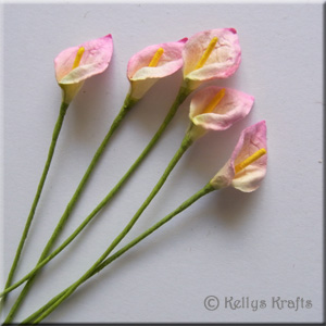 Mulberry Calla Lily Flowers - Pink (Pack of 5) - Click Image to Close
