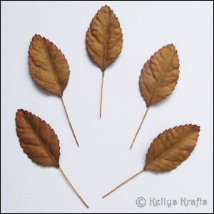 Mulberry Brown Leaf/Leaves on Stems (Pack of 5) - Click Image to Close