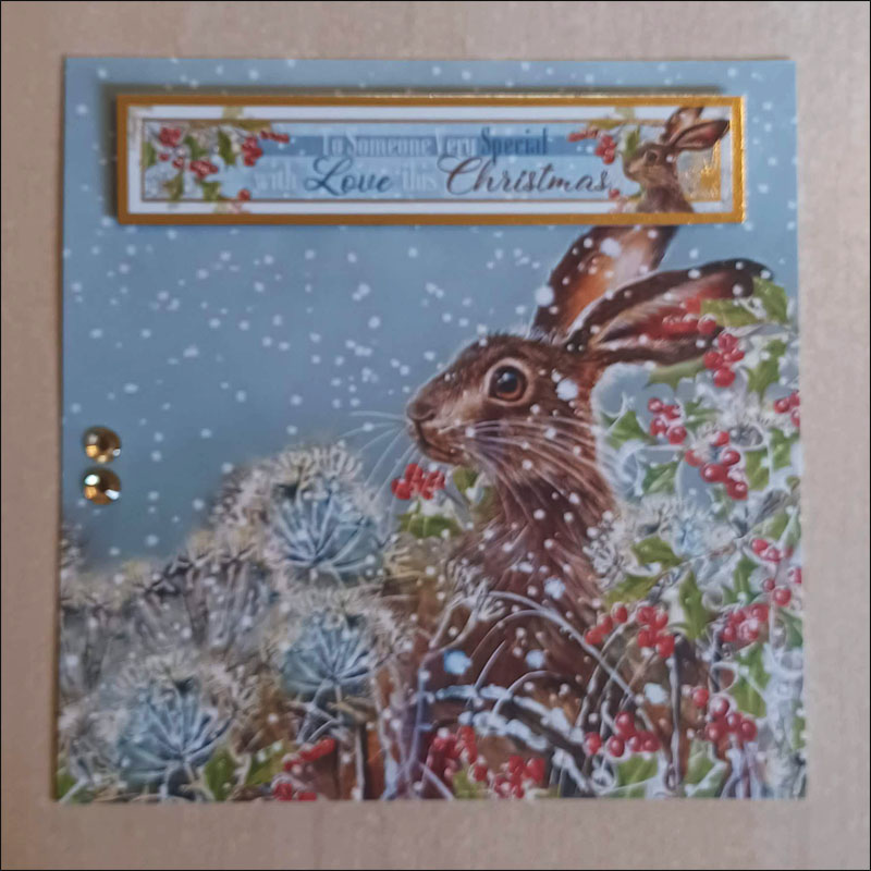 Handmade Papercraft Card Topper - Meadow Hares, To Someone Very Special