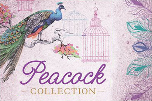 (image for) Peacock