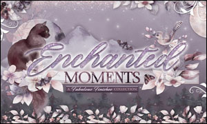 (image for) Enchanted Moments