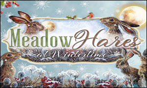 Meadow Hares at Wintertime