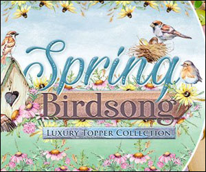 Spring Birdsong