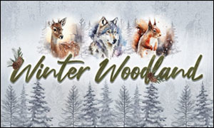 (image for) Winter Woodland