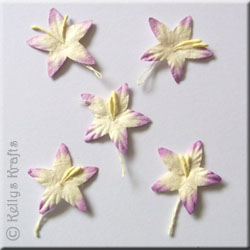 Mulberry Paper Star Lily Flower Heads, Lilac/White (Pack of 5)