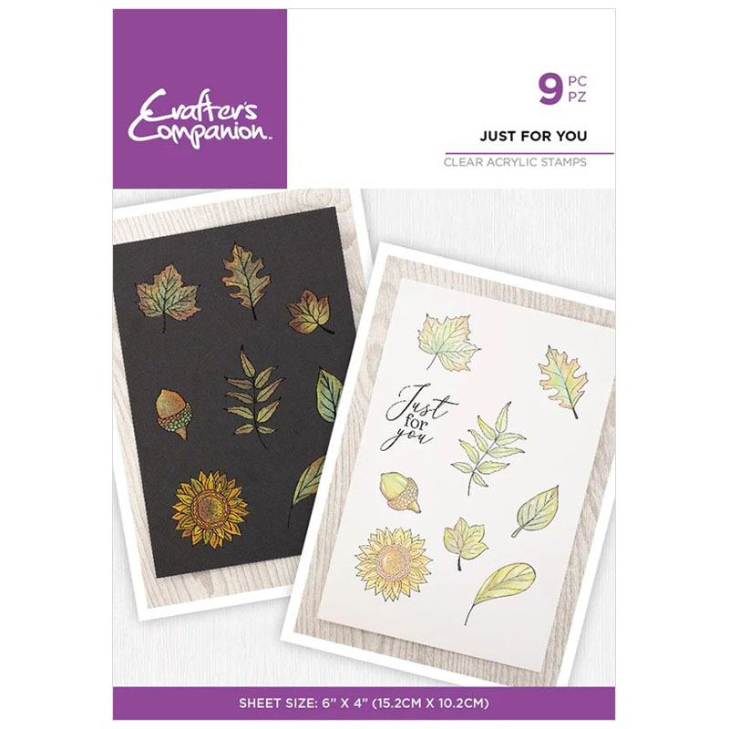 (image for) Crafters Companion Stamp Set, Watercolour - Just For You