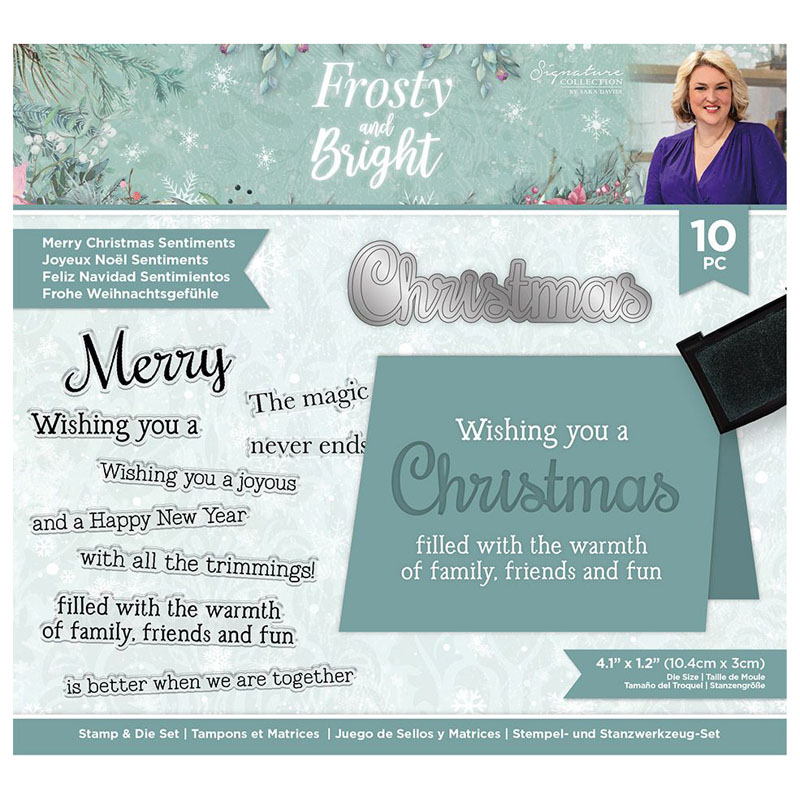 (image for) Sara Signature Cutting Die & Stamp Set, Frosty & Bright - Sentiments