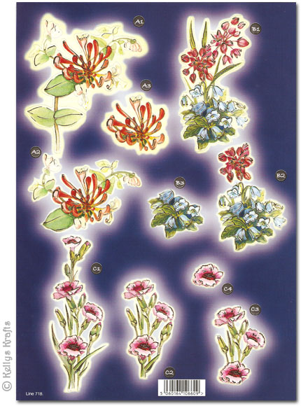 Die Cut 3D Decoupage A4 Sheet - Floral, Exquisite Blooms (718)