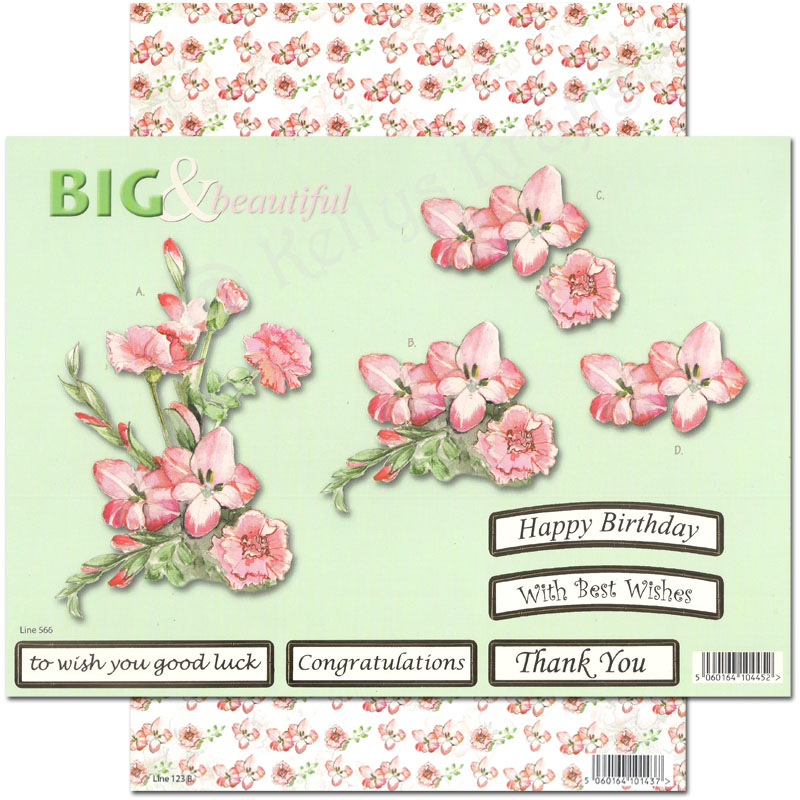 Die Cut 3D Decoupage A4 Set - Big & Beautiful, Floral (566)