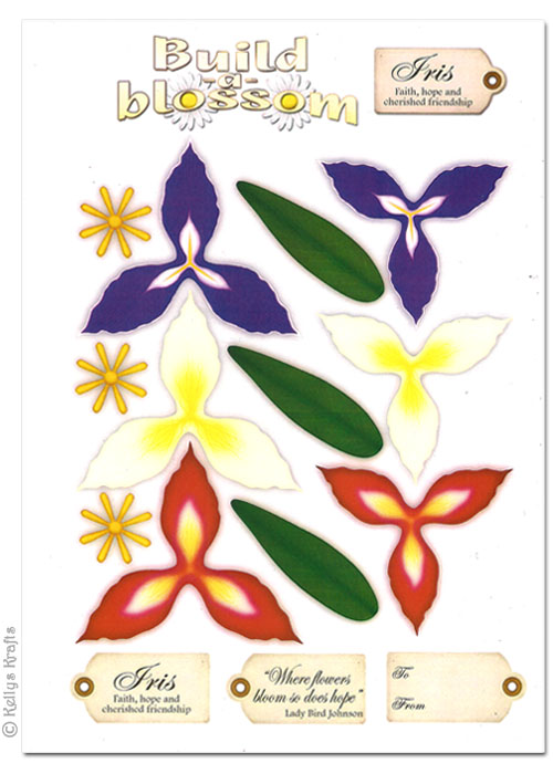 Decoupage A4 Sheet - Build A Blossom, Iris