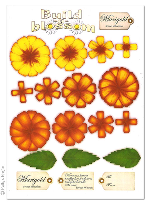 Decoupage A4 Sheet - Build A Blossom, Marigold