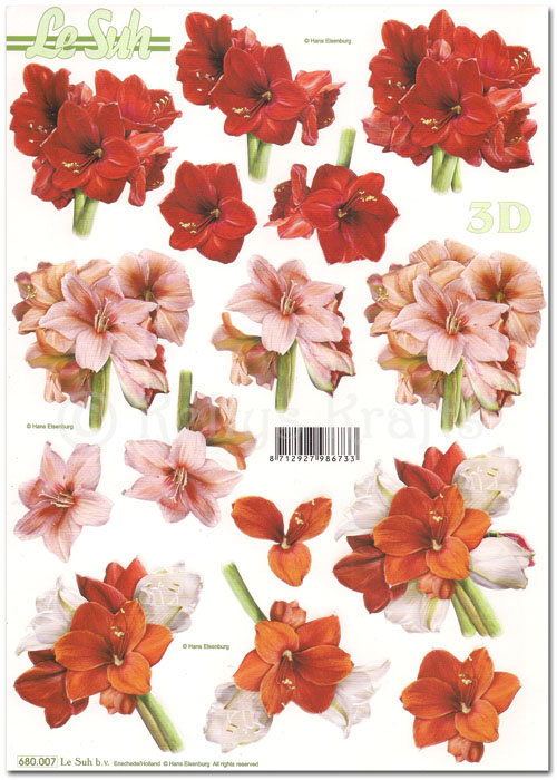 Die Cut 3D Decoupage A4 Sheet - Floral (680007)