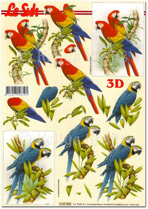 3D Decoupage A4 Sheet - Parrots (4169802)
