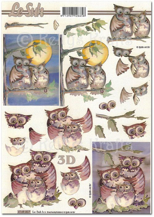 3D Decoupage A4 Sheet - Owls (4169837)