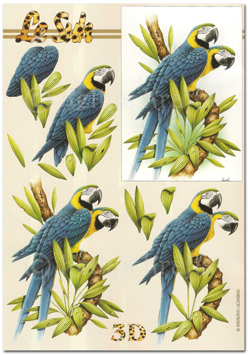 (image for) 3D Decoupage A5 Sheet - Parrots (345614-08)