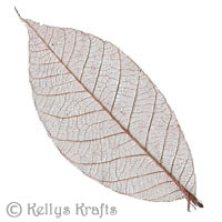 Skeleton Leaf Embellishments - Dark Brown