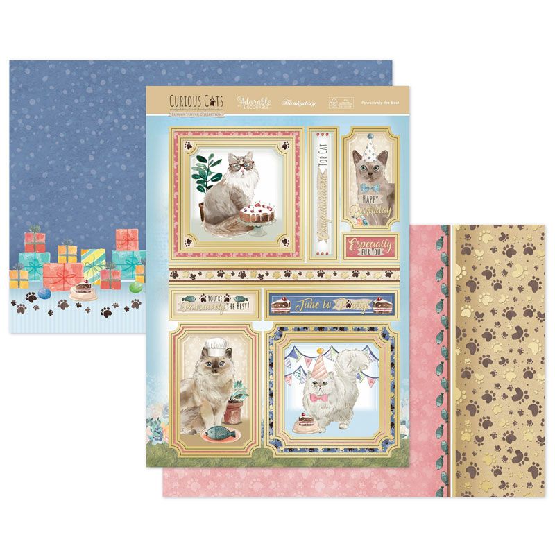 Die Cut Topper Set - Curious Cats, Pawsitively the Best