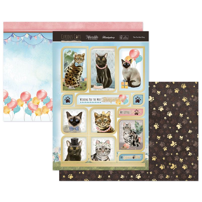 Die Cut Topper Set - Curious Cats, The Purrfect Day