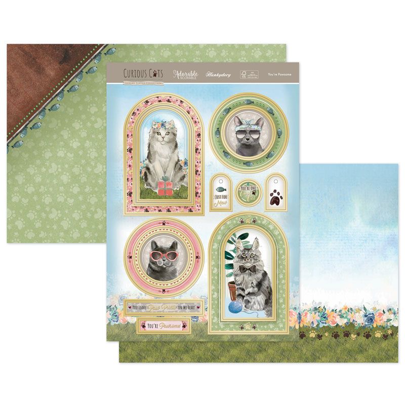 Die Cut Topper Set - Curious Cats, You're Pawsome