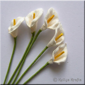 Mulberry Calla Lily Flowers - White (Pack of 5)
