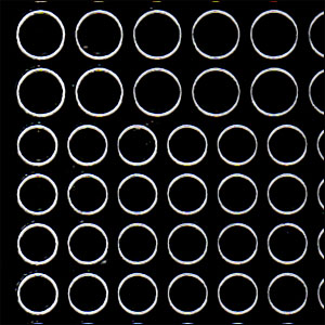 Circles & Dots, Black Peel Off Stickers (1 sheet)