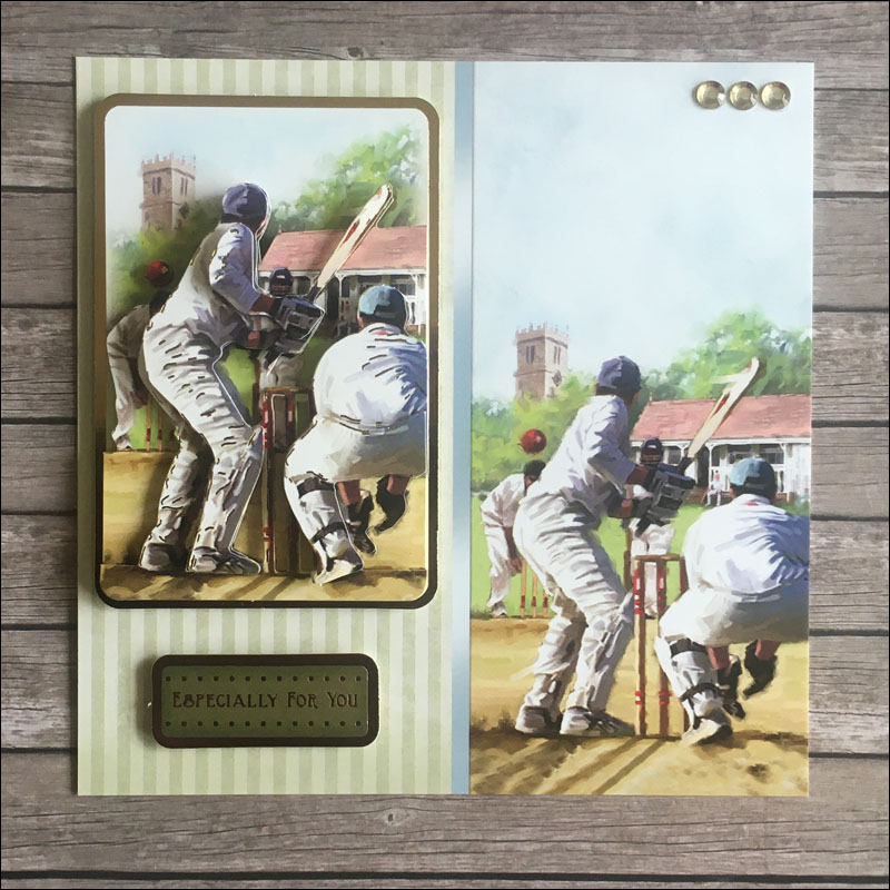 Handmade Papercraft Decoupage Card Topper - Cricket